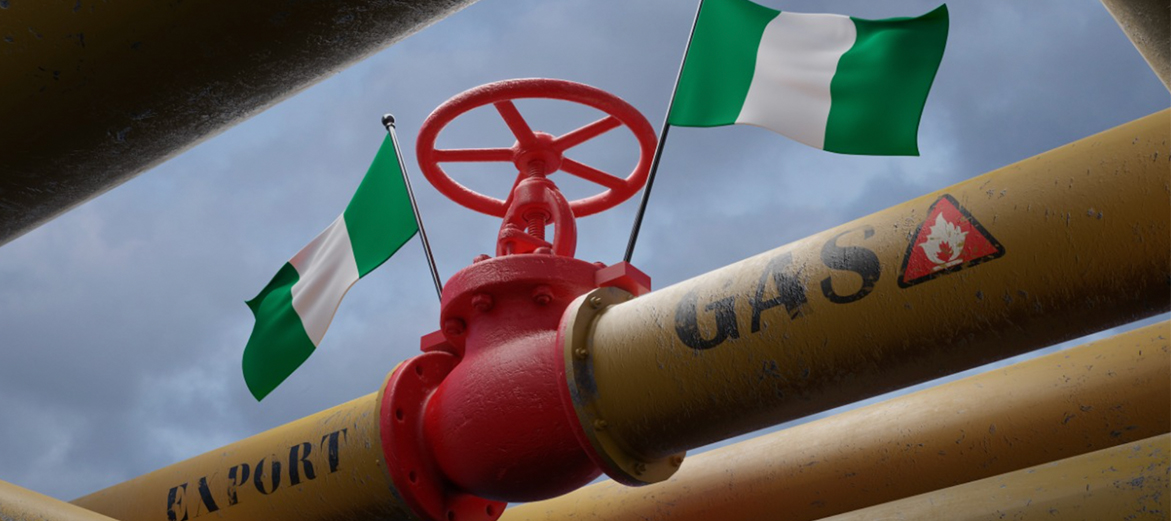 Establishing a Highly Competitive Domestic Hydrocarbons Market in Nigeria