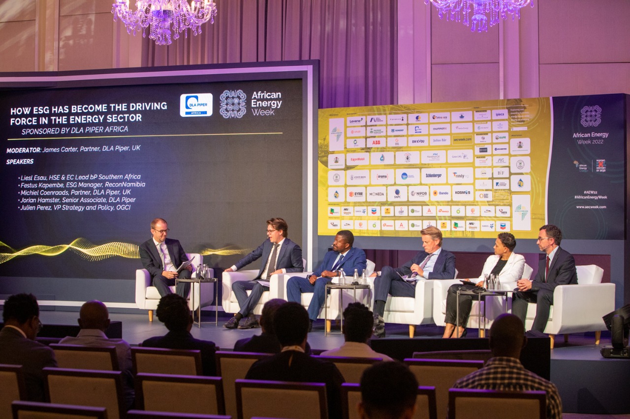 Industry Execs Insist ESG is Not Just Decarbonization or Renewables During AEW 2022 Discussion