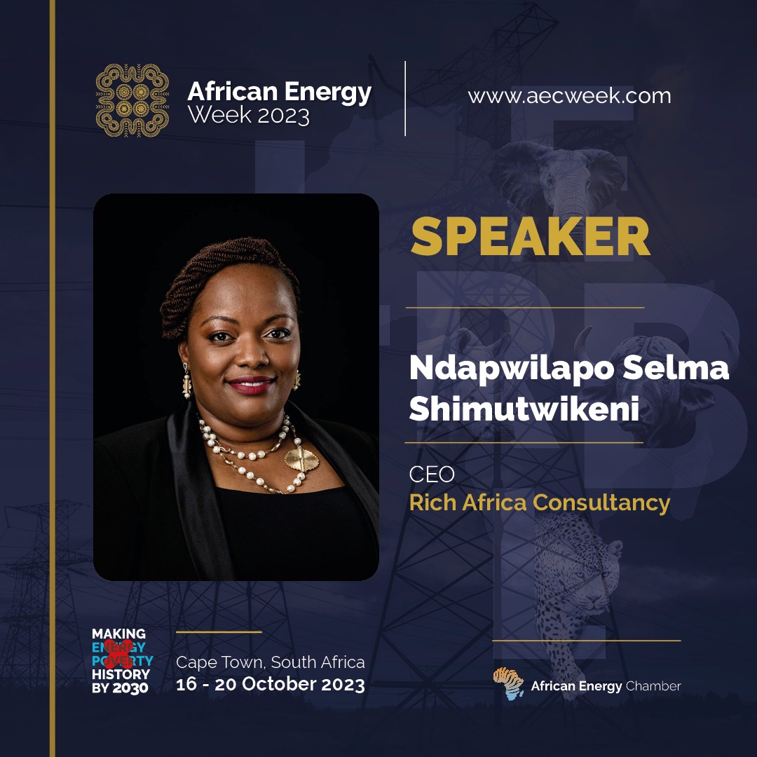 Rich Africa’s Ndapwilapo Selma Shimutwikeni to Speak, Lead Private-Sector Drive at AEW 2023