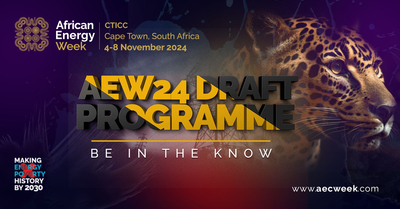 aew program edited