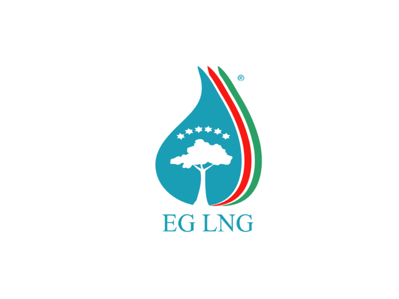 eg lng logo