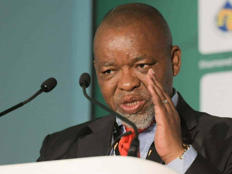 gwede mantashe