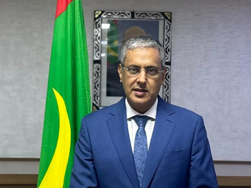 mauritania petroleum minister
