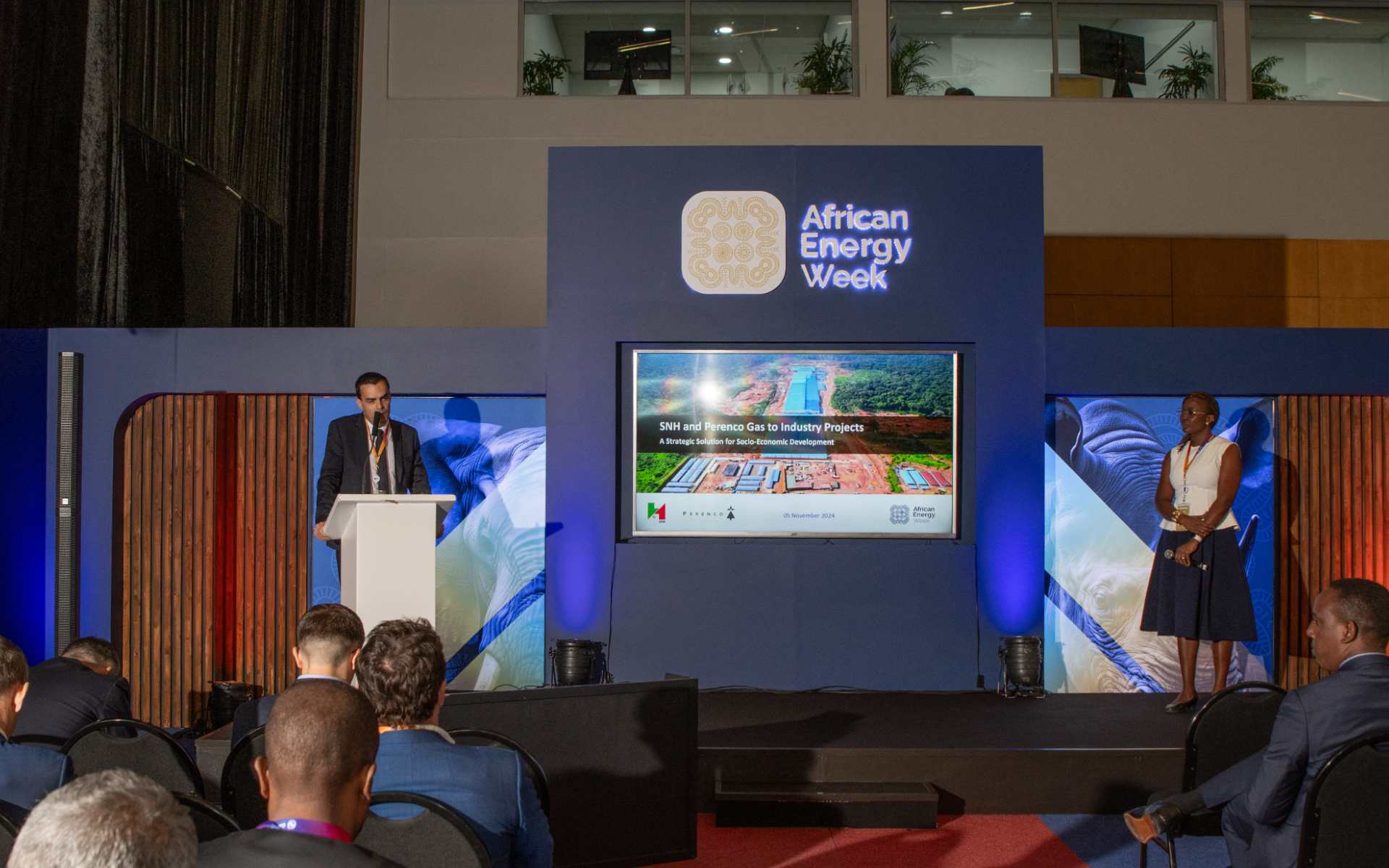 AEW 2024: Perenco Fueling Industrial Growth with Gas Projects in Cameroon