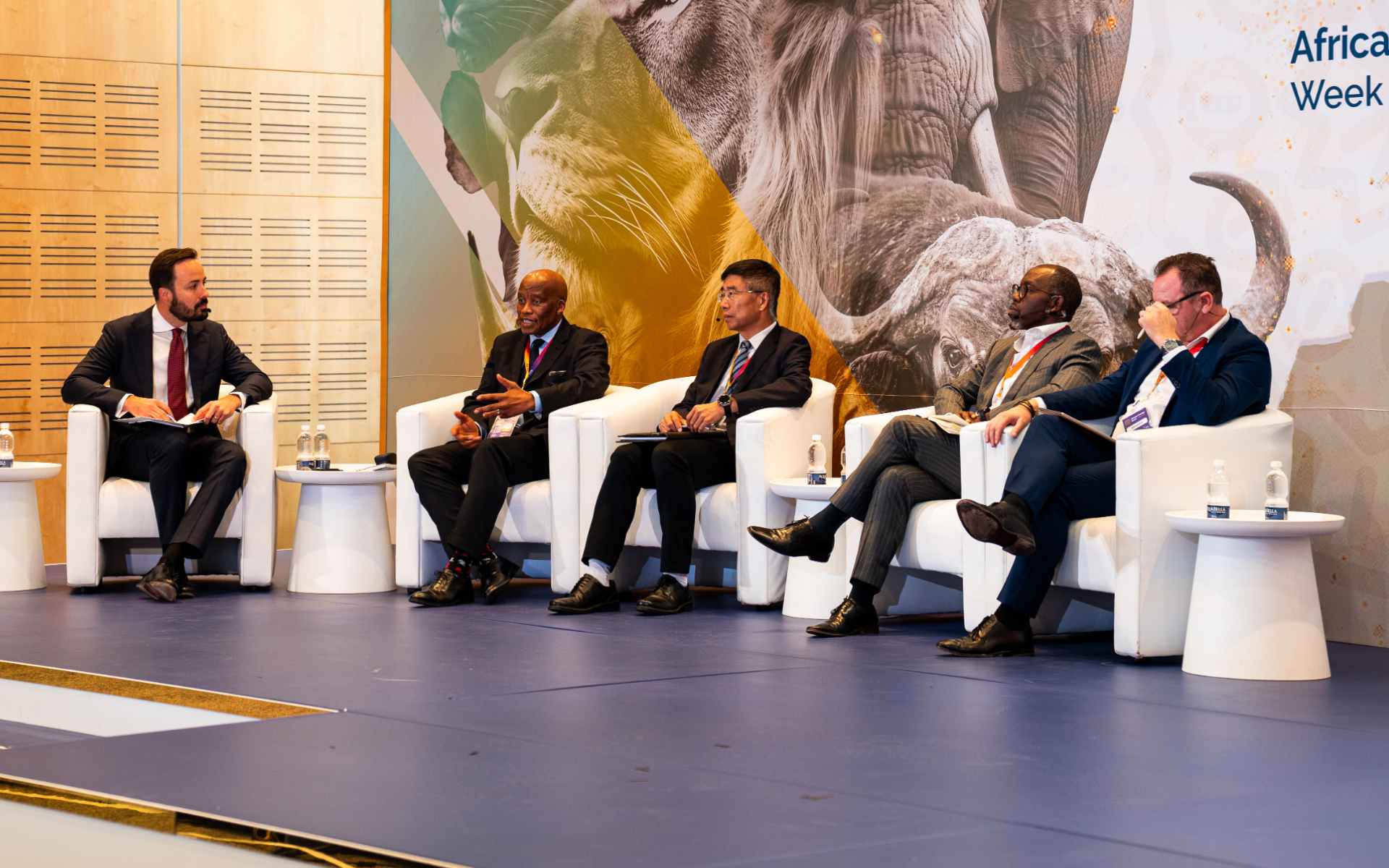 AEW 2024: Africa’s Energy Infrastructure Can Only Succeed with Enhanced Transmission