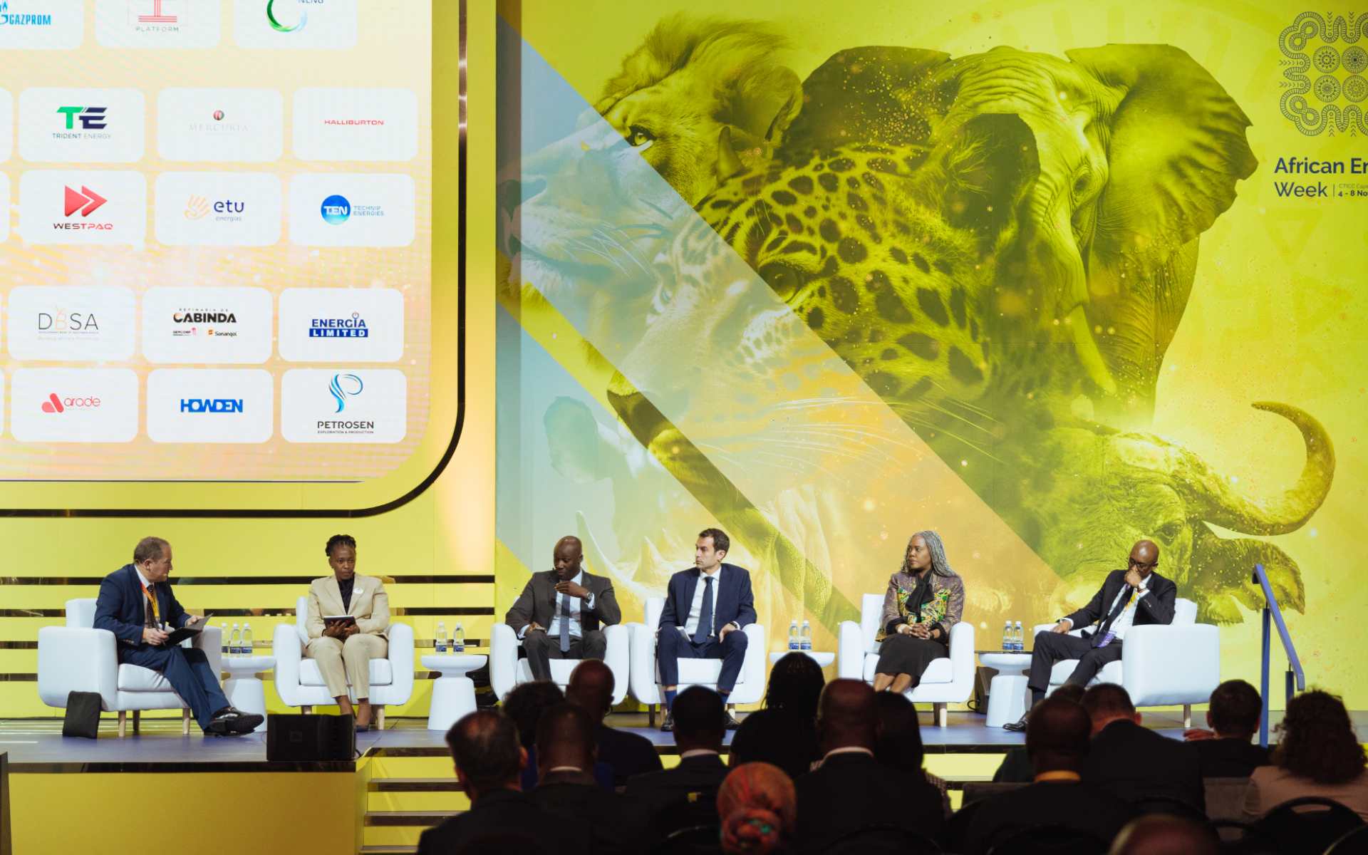 Industry Leaders Unpack Just Energy Imperatives for Africa at AEW 2024