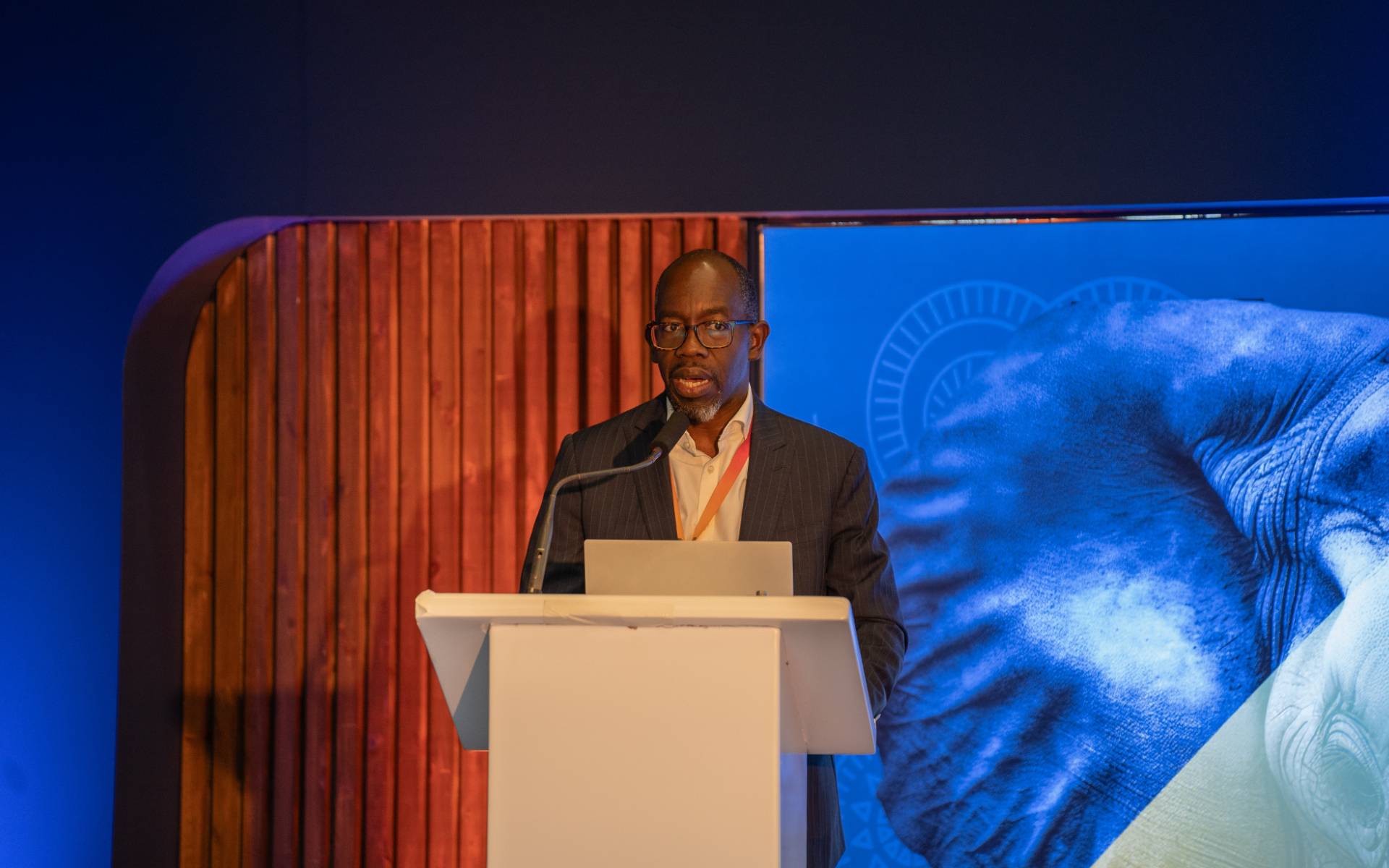 AEW 2024: Milele Energy Discusses Green Project Financing in Africa