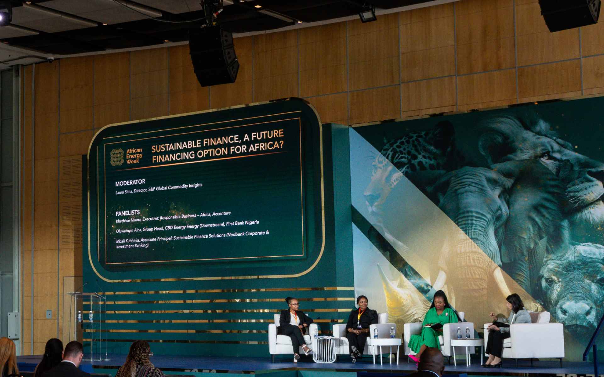 Energy Finance Summit Explores Sustainable Financing Solutions at AEW 2024