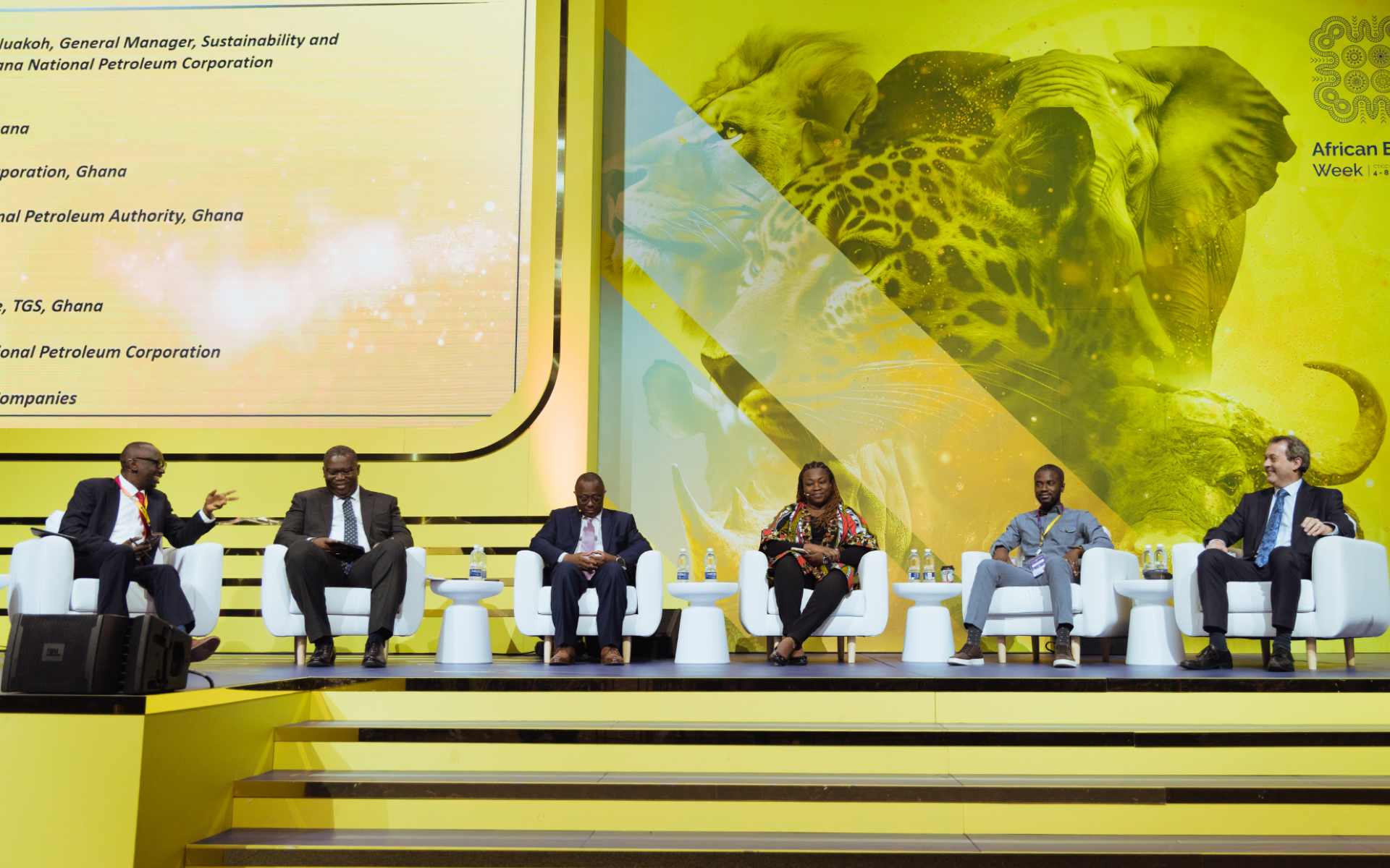 Ghana Showcases Attractive Investment Environment at AEW 2024