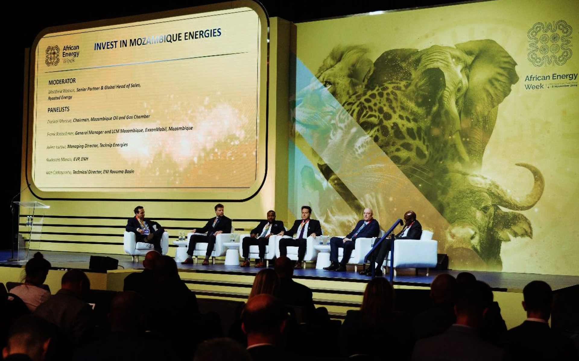 Mozambique Leverages Low Carbon Impact of Local LNG Developments, AEW 2024 Hears