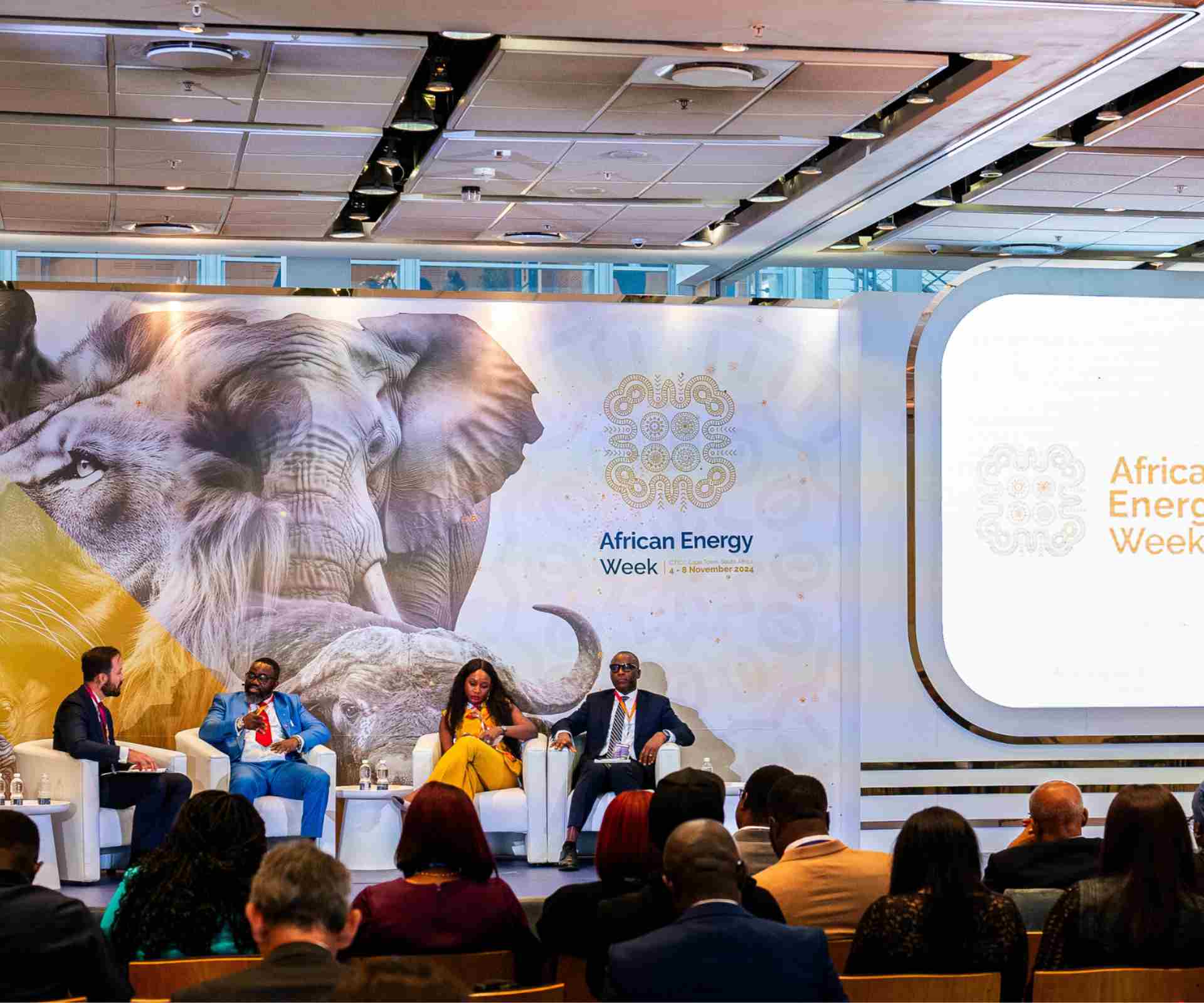 Les op&eacute;rateurs et d&eacute;veloppeurs &eacute;nerg&eacute;tiques rejoignent AEW 2025 dans le cadre de la campagne d'&eacute;lectrification de l'Afrique