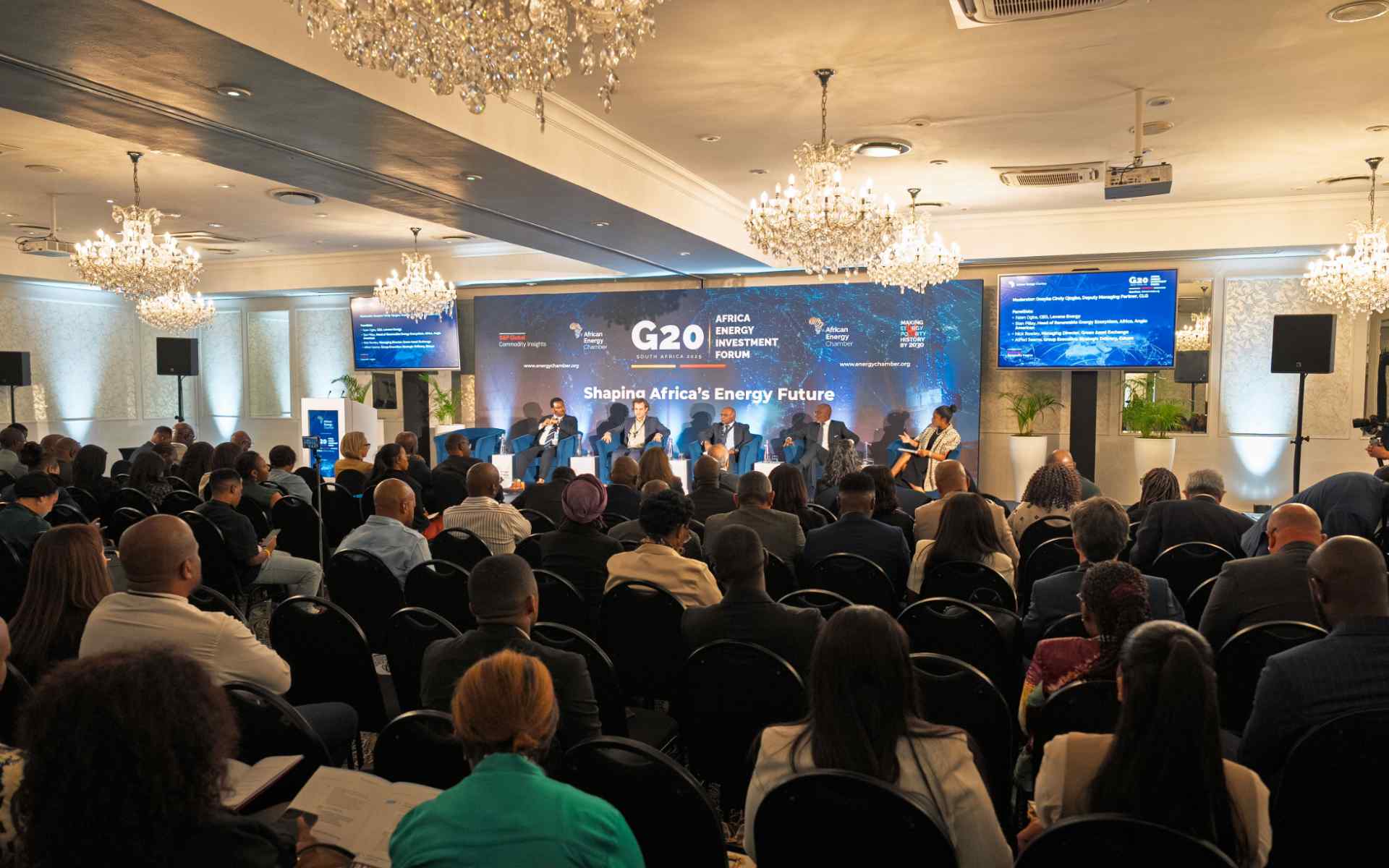 African Leaders Advance Energy, Gas and Financing Plans Ahead of Paris Summit